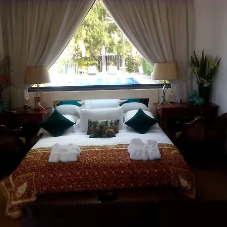 Dazkarizeh73 Ribeira Brava