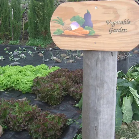 Dazkarizeh73 Ribeira Brava