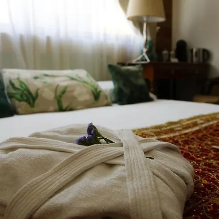 Dazkarizeh73 * Ribeira Brava