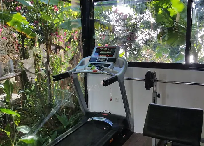 Dazkarizeh73 Ribeira Brava