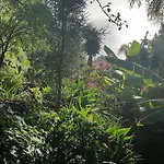 Dazkarizeh73 *