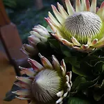 Dazkarizeh73 Βίλα