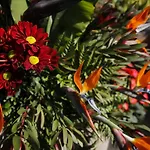 Dazkarizeh73 Βίλα Ribeira Brava