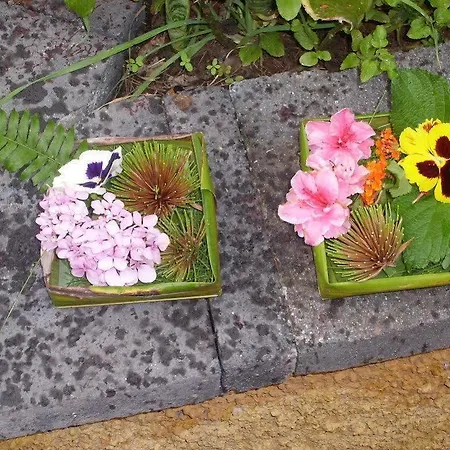 Villa Dazkarizeh73 Ribeira Brava