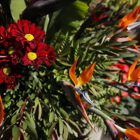 Dazkarizeh73 Villa Ribeira Brava