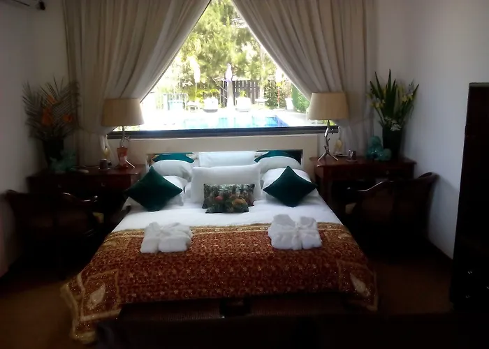 Dazkarizeh73 리베이라브라바