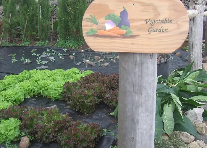 Dazkarizeh73 리베이라브라바