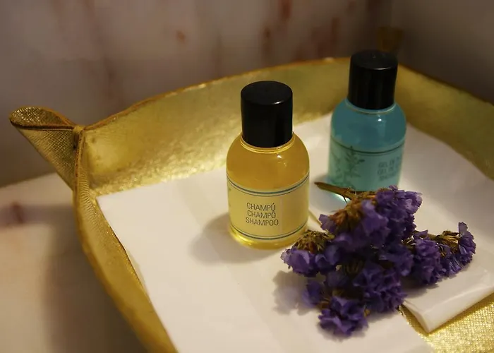 Dazkarizeh73 * 리베이라브라바