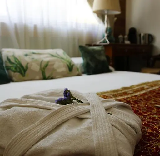 Dazkarizeh73 * Ribeira Brava