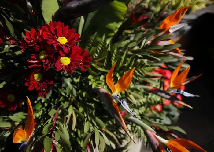 Dazkarizeh73 Villa Ribeira Brava